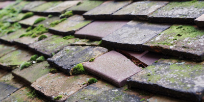 Kingston Seymour roof repair costs